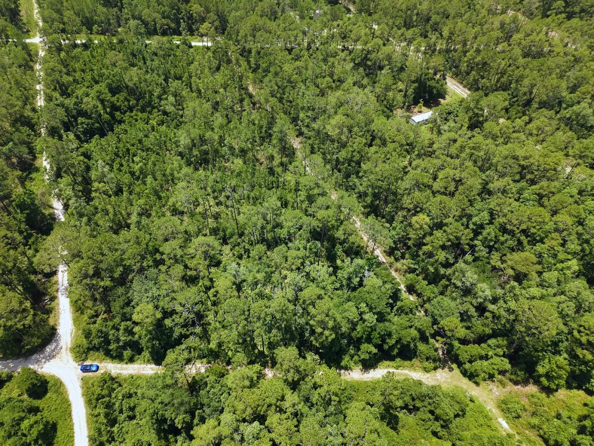 Decorative background for Off the Beaten Path in Satsuma, FL image 12