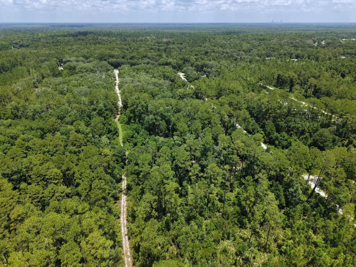 Decorative background for Off the Beaten Path in Satsuma, FL image 14