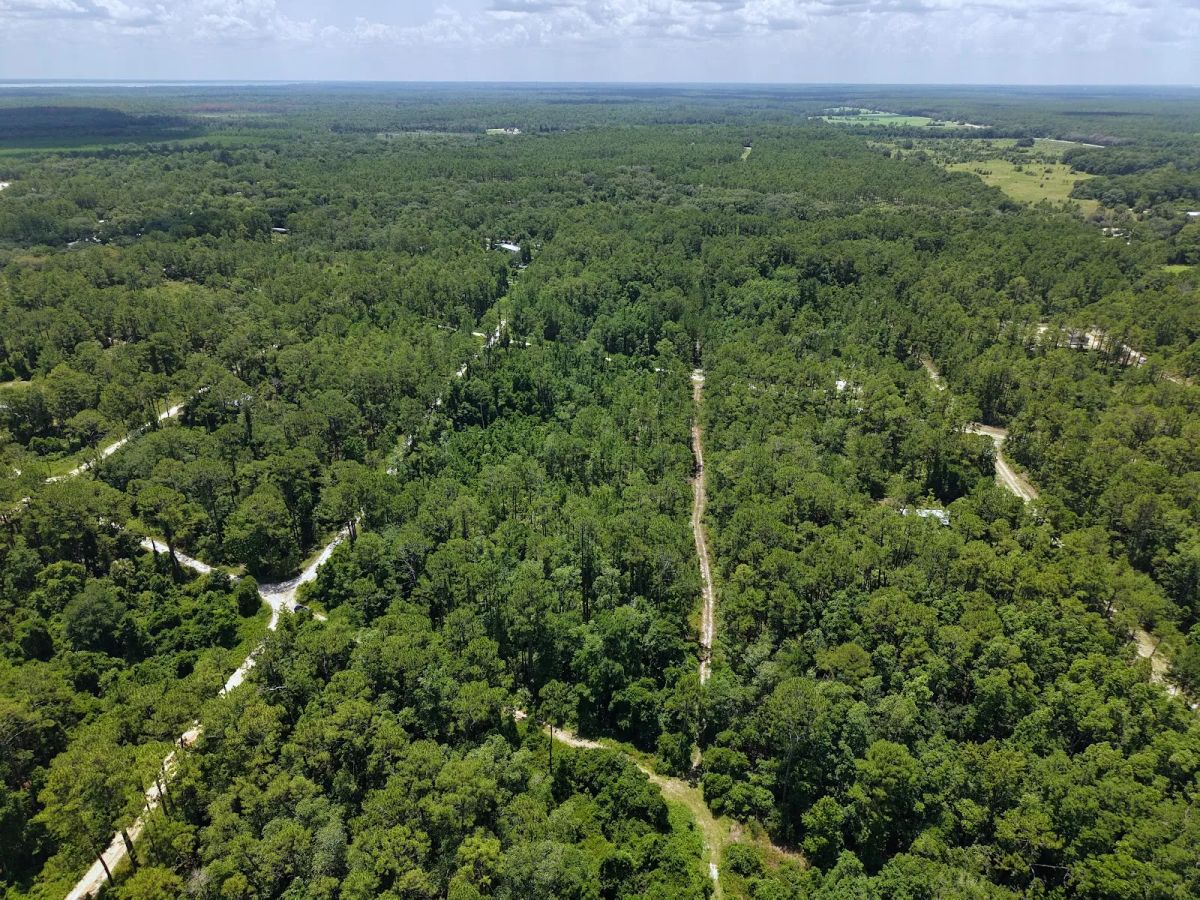 Decorative background for Off the Beaten Path in Satsuma, FL image 17