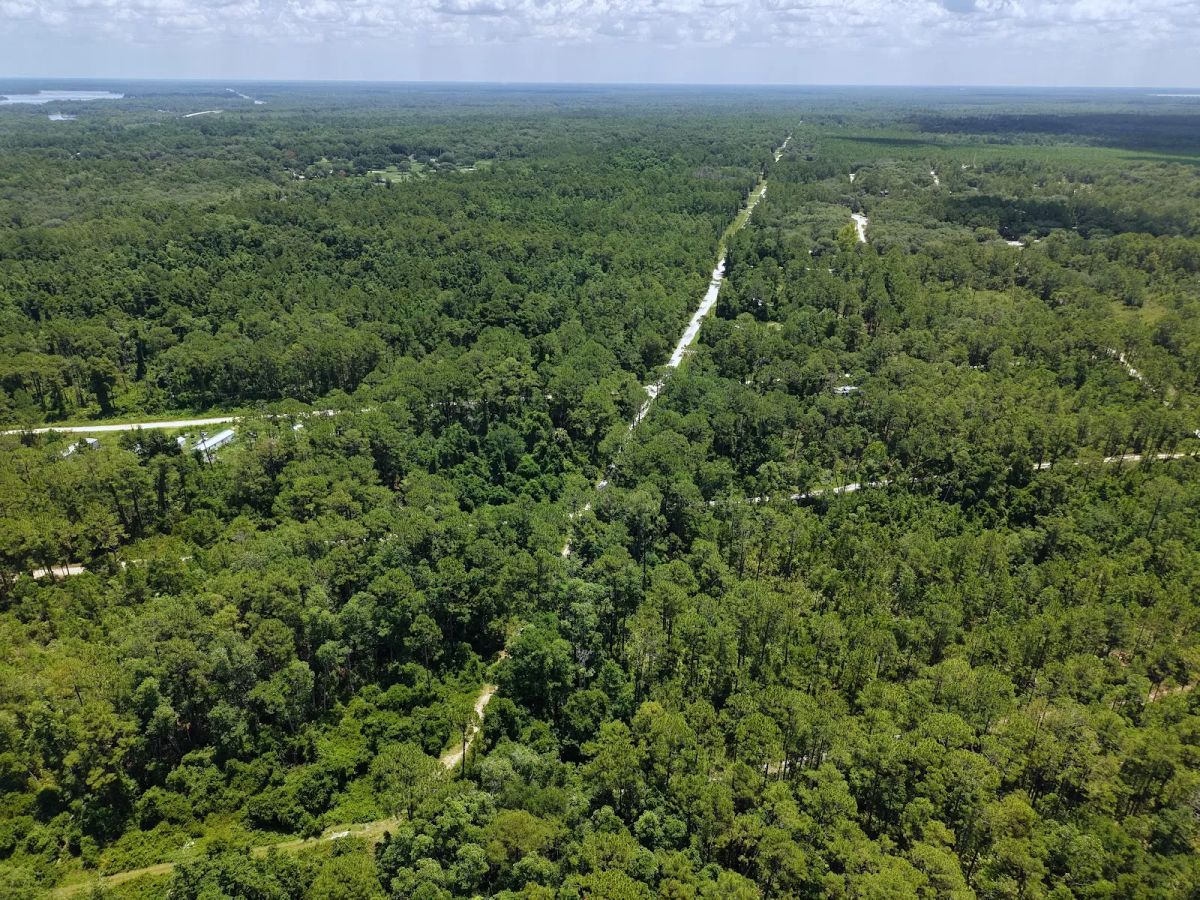 Decorative background for Off the Beaten Path in Satsuma, FL image 18