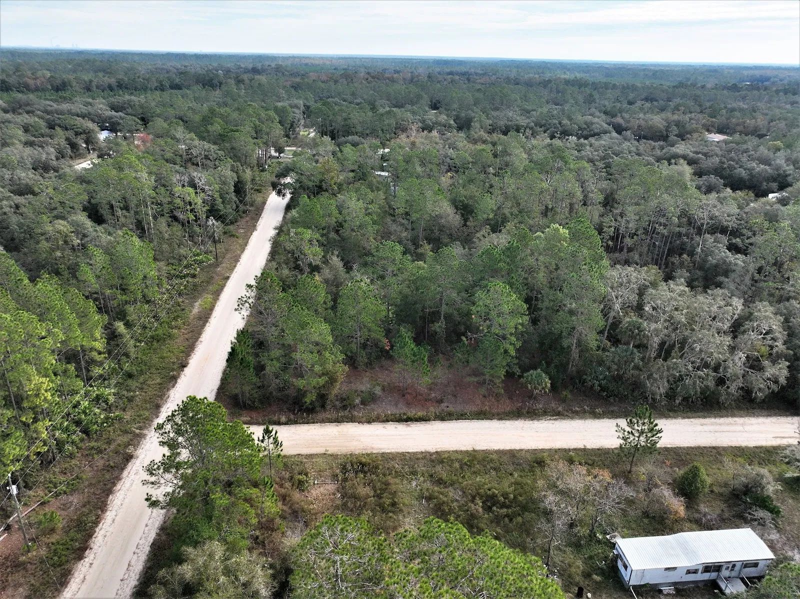 Your Florida Corner Starts Here — Treed, Titled and Ready