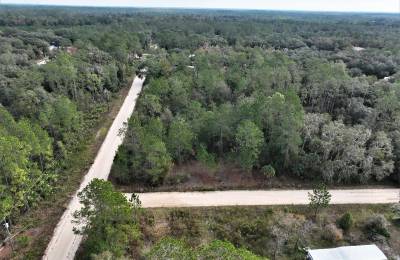 Your Florida Corner Starts Here — Treed, Titled and Ready