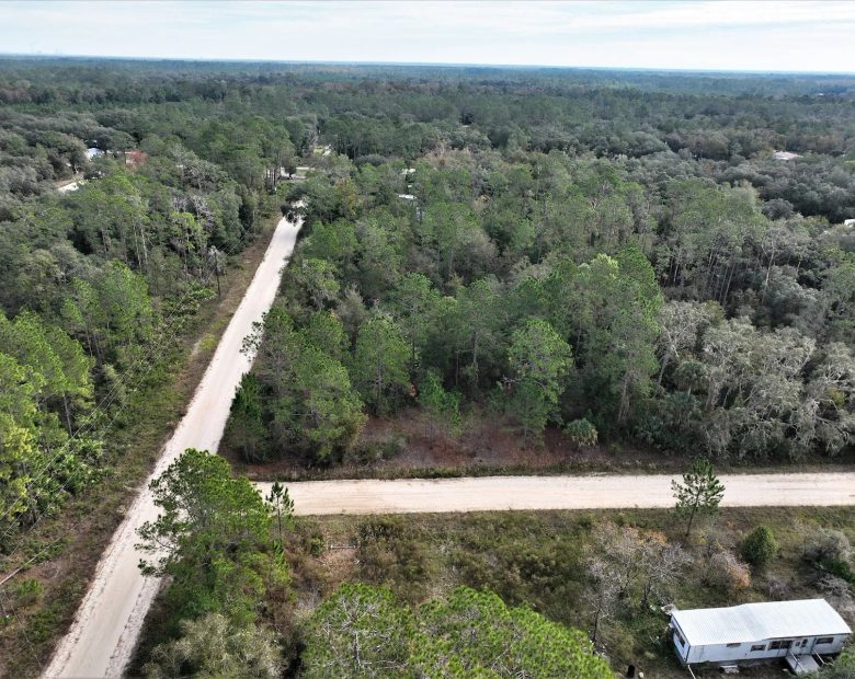 Your Florida Corner Starts Here β Treed, Titled and Ready in Putnam County, FL