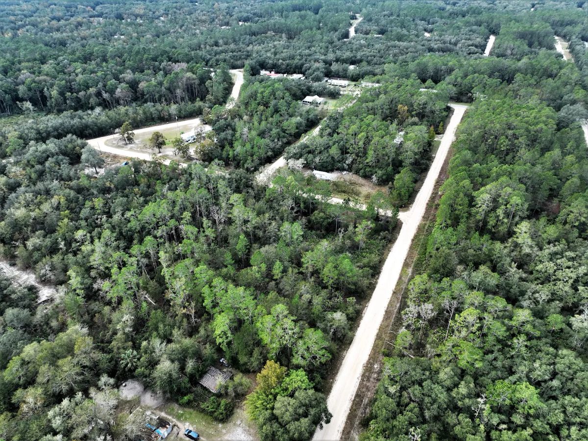 Your Florida Corner Starts Here — Treed, Titled and Ready - Image 2