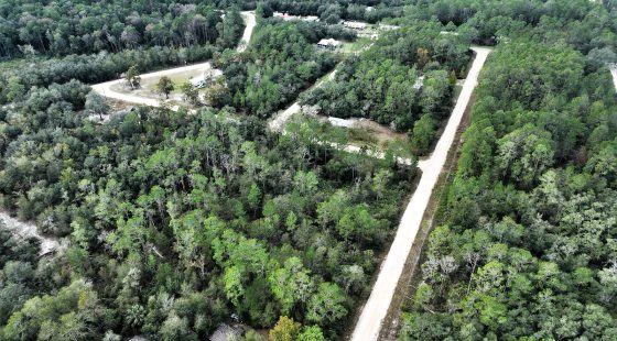 Your Florida Corner Starts Here β Treed, Titled and Ready in Putnam County, FL
