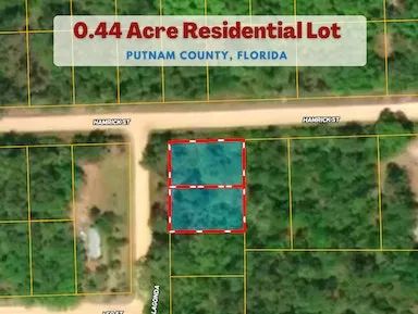 Your Florida Corner Starts Here — Treed, Titled and Ready - Image 3