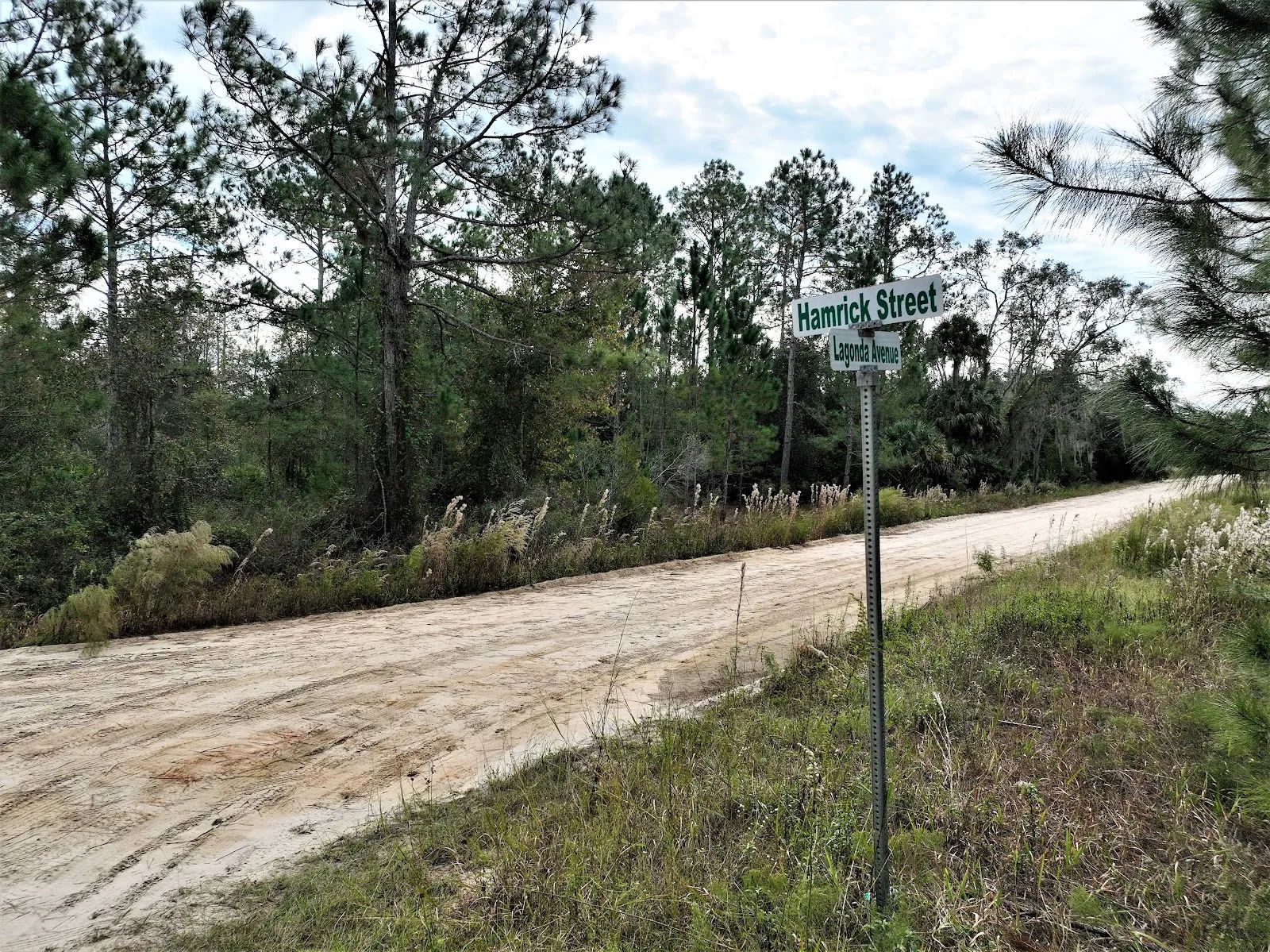 Your Florida Corner Starts Here — Treed, Titled and Ready in Putnam County, FL