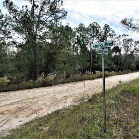Your Florida Corner Starts Here β Treed, Titled and Ready in Putnam County, FL