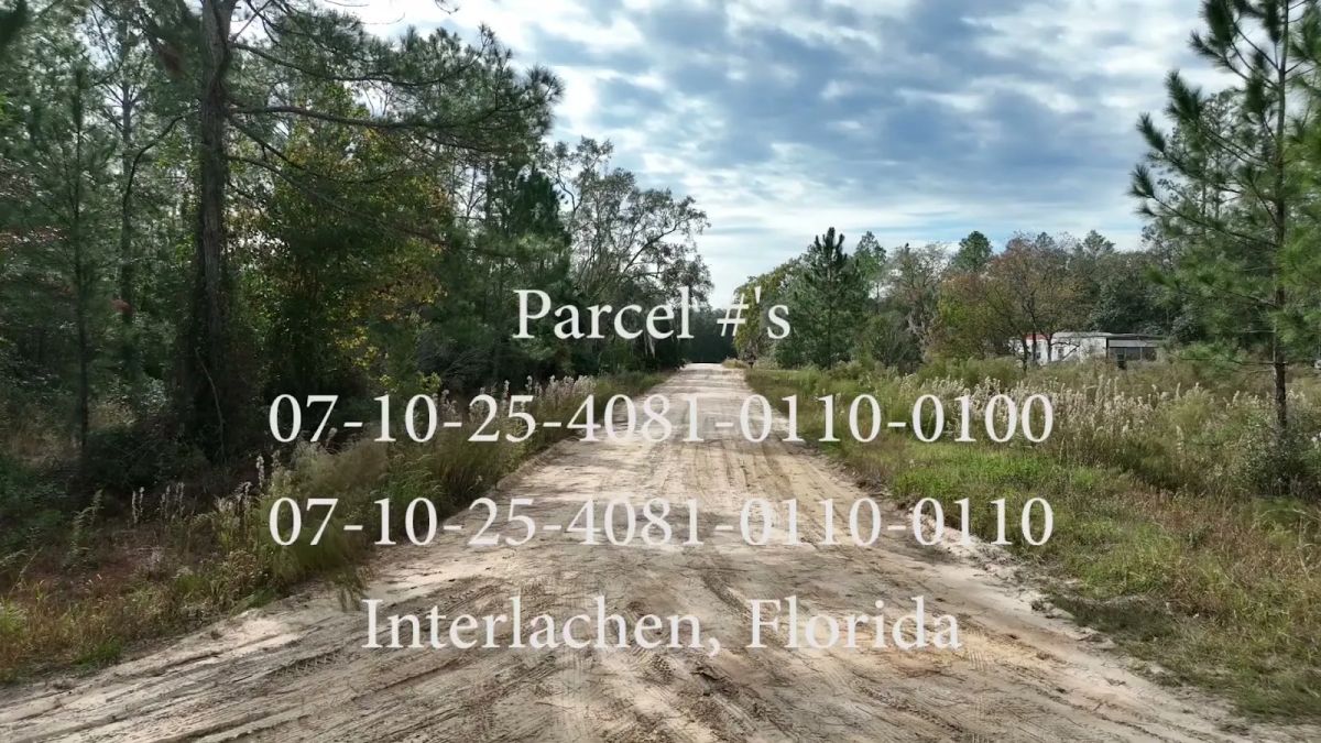 Decorative background for Your Florida Corner Starts Here — Treed, Titled and Ready image 14