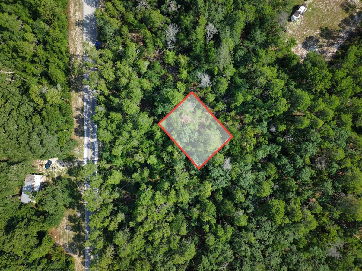 0.21 Acre Treed Lot Just Off the Pavement, yes with Road Access - Main image