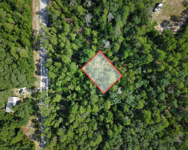 0.21 Acre Treed Lot Just Off the Pavement, yes with Road Access in Putnam County, FL