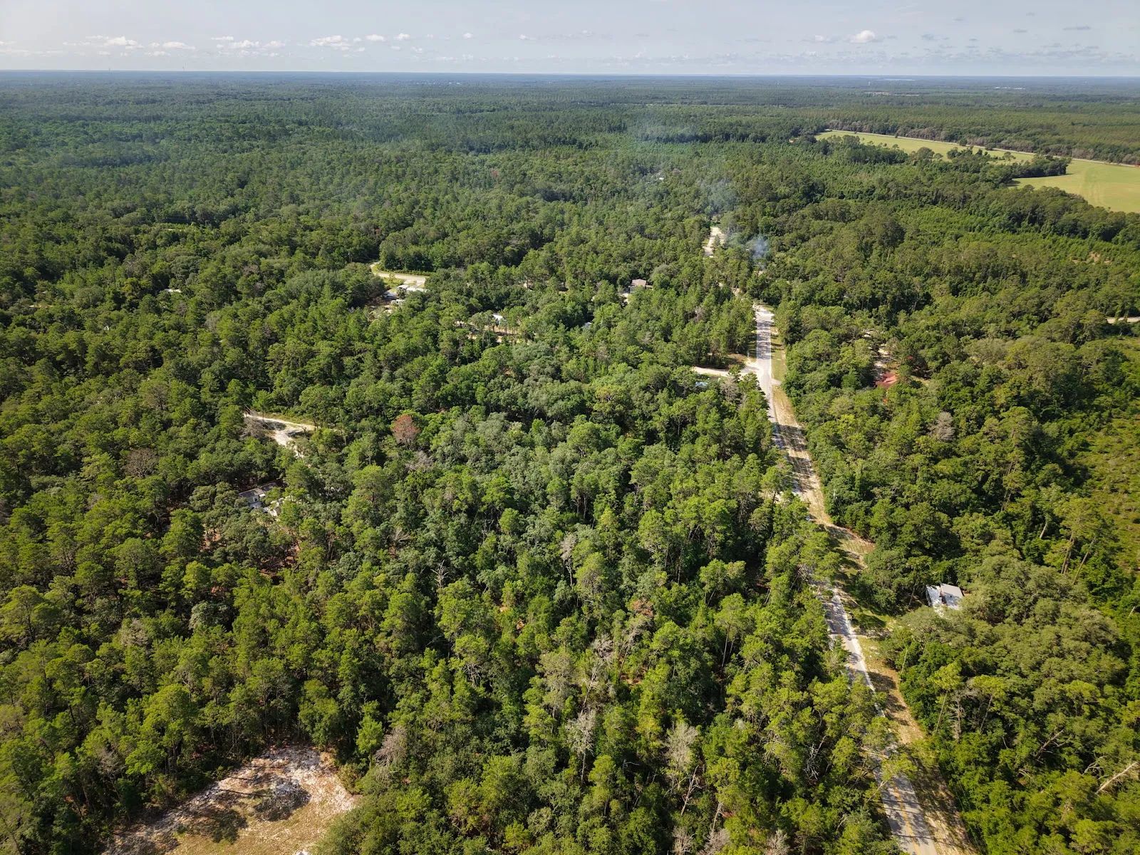 0.21 Acre Treed Lot Just Off the Pavement, yes with Road Access in Putnam County, FL