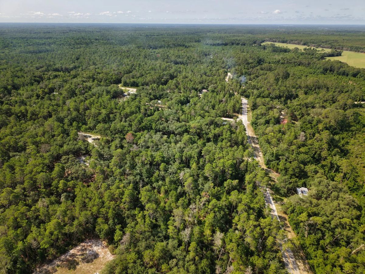 0.21 Acre Treed Lot Just Off the Pavement, yes with Road Access - Image 2