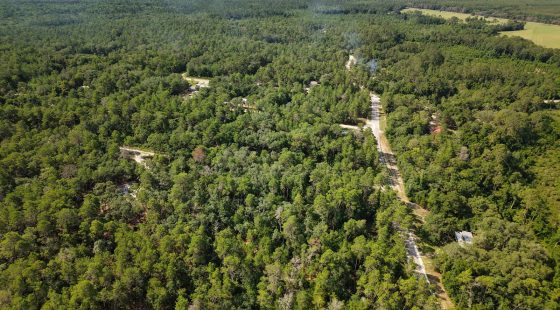 0.21 Acre Treed Lot Just Off the Pavement, yes with Road Access in Putnam County, FL