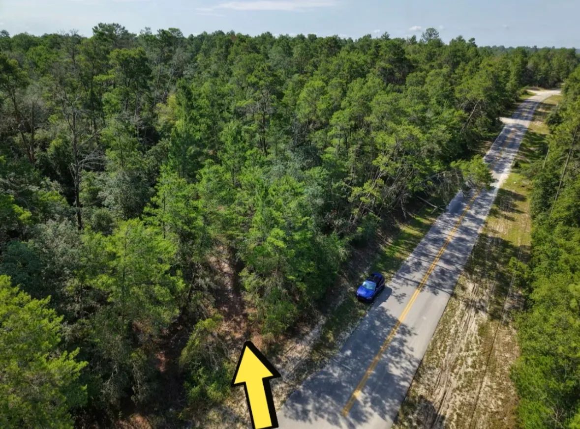 0.21 Acre Treed Lot Just Off the Pavement, yes with Road Access in Putnam County, FL