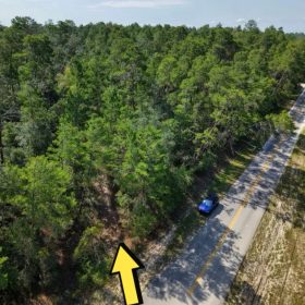 0.21 Acre Treed Lot Just Off the Pavement, yes with Road Access in Putnam County, FL