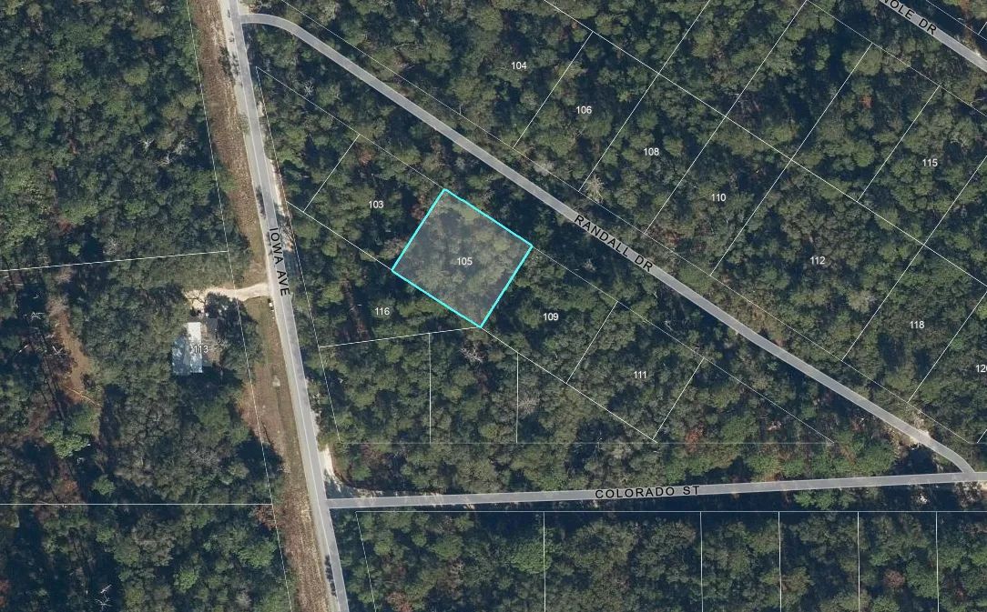 0.21 Acre Treed Lot Just Off the Pavement, yes with Road Access - Image 4