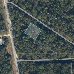 0.21 Acre Treed Lot Just Off the Pavement, yes with Road Access in Putnam County, FL