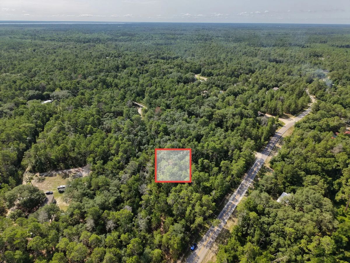 Decorative background for 0.21 Acre Treed Lot Just Off the Pavement, yes with Road Access image 5