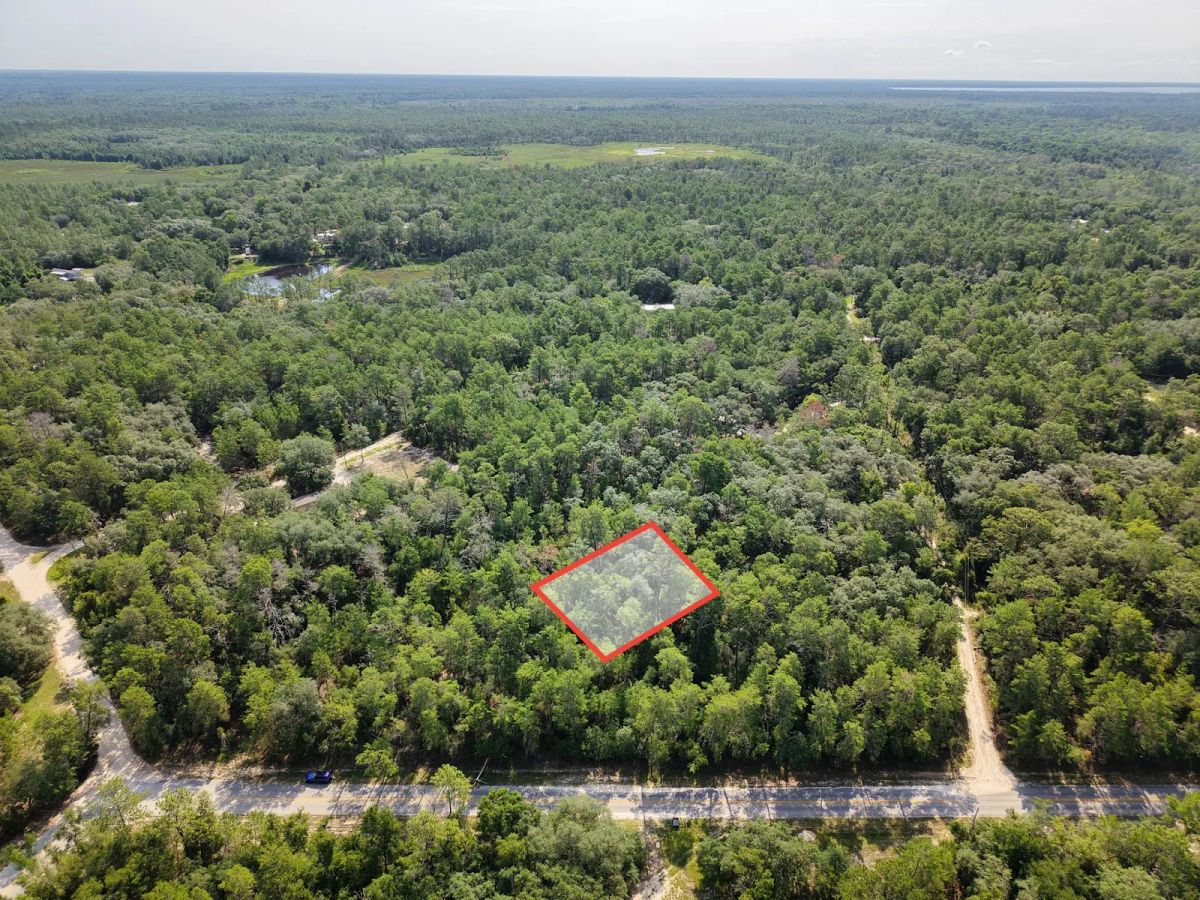 Decorative background for 0.21 Acre Treed Lot Just Off the Pavement, yes with Road Access image 6