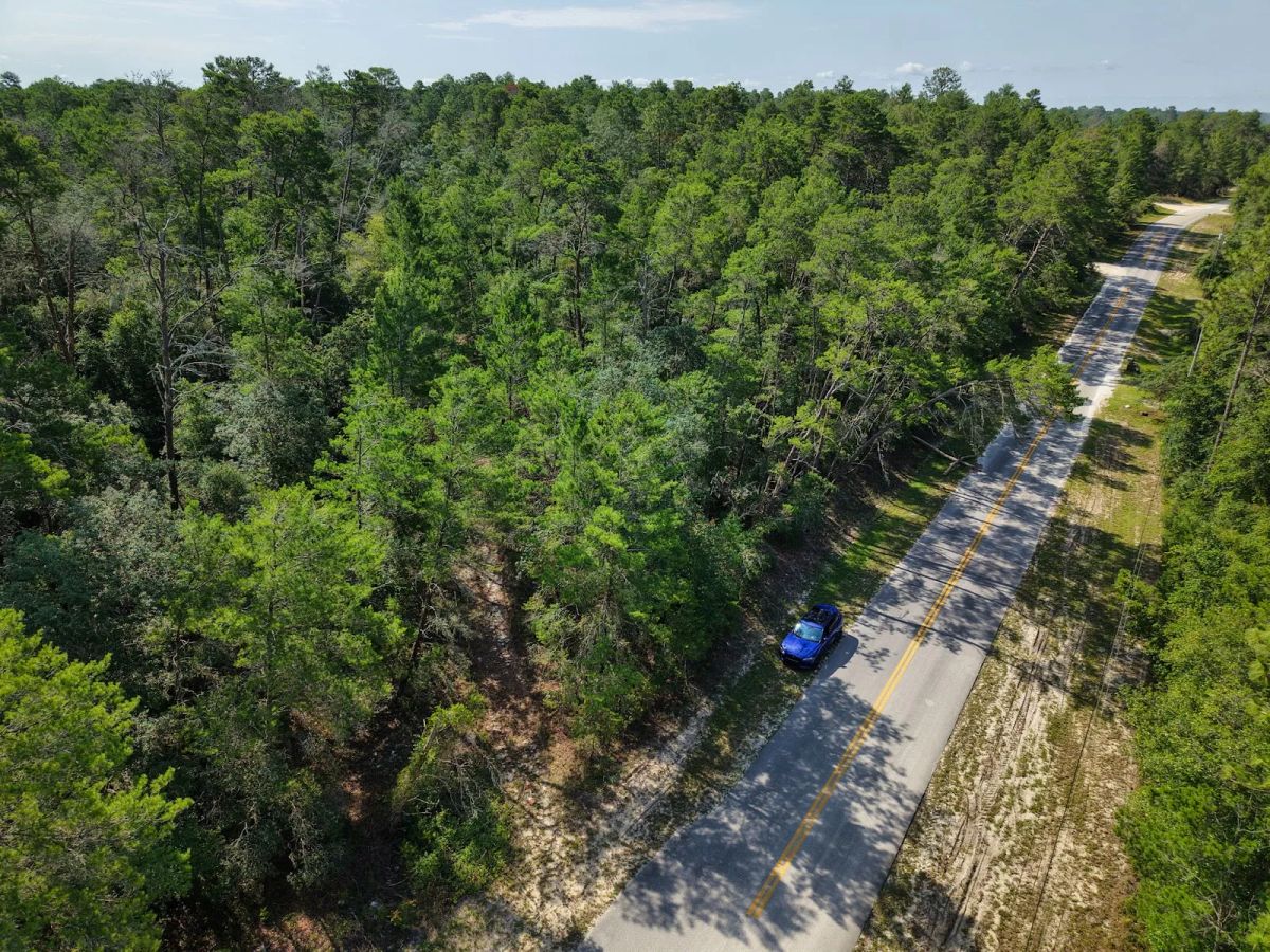 Decorative background for 0.21 Acre Treed Lot Just Off the Pavement, yes with Road Access image 7