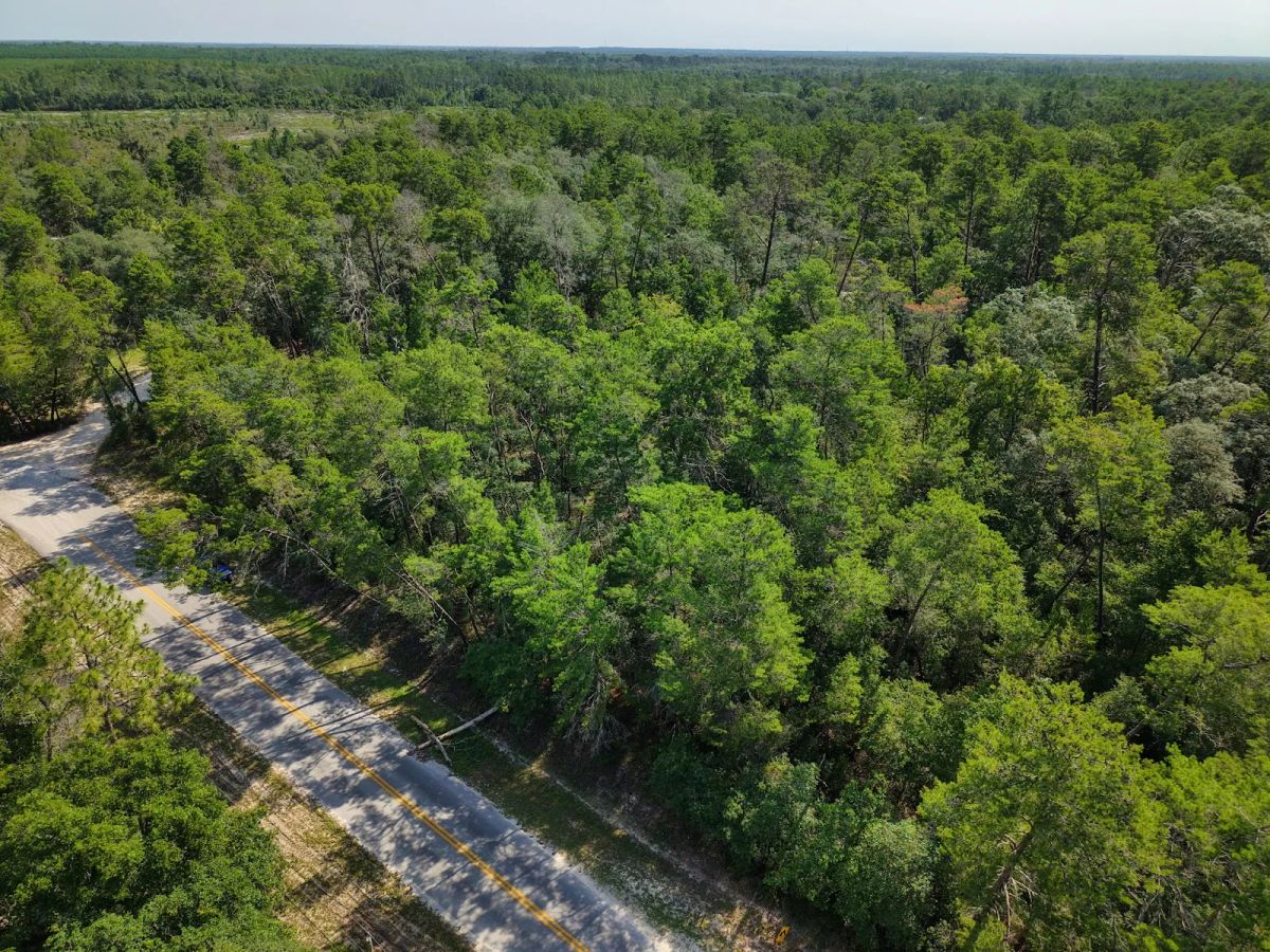 Decorative background for 0.21 Acre Treed Lot Just Off the Pavement, yes with Road Access image 8