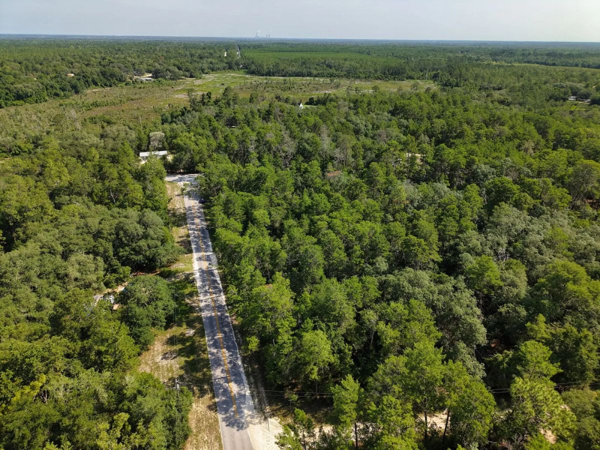 Decorative background for 0.21 Acre Treed Lot Just Off the Pavement, yes with Road Access image 9