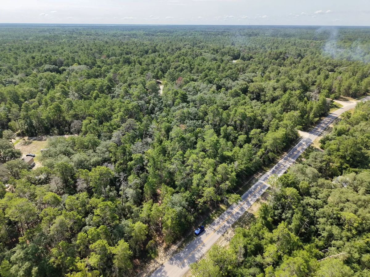 Decorative background for 0.21 Acre Treed Lot Just Off the Pavement, yes with Road Access image 10