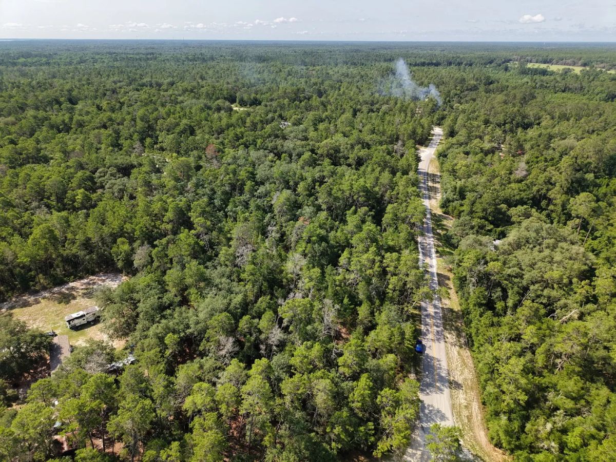 Decorative background for 0.21 Acre Treed Lot Just Off the Pavement, yes with Road Access image 11