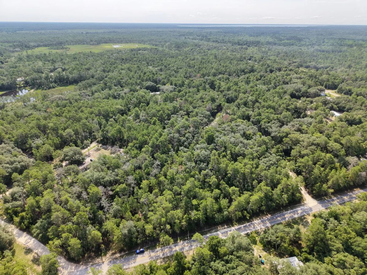 Decorative background for 0.21 Acre Treed Lot Just Off the Pavement, yes with Road Access image 12