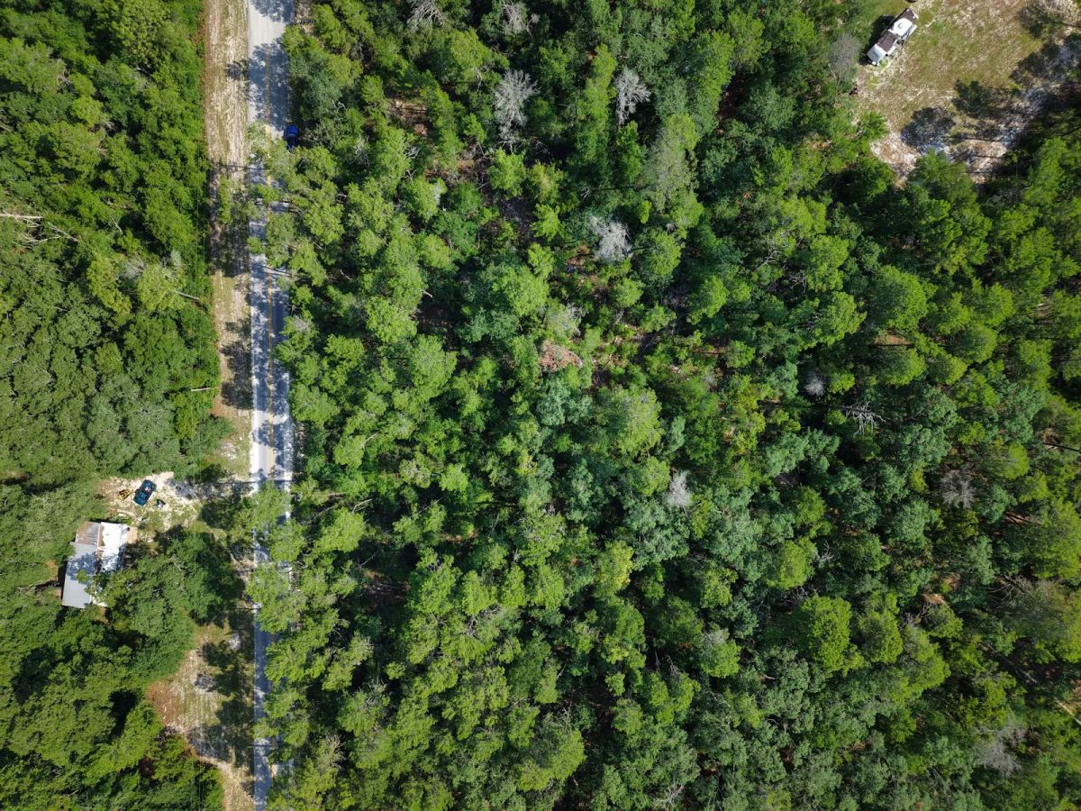 Decorative background for 0.21 Acre Treed Lot Just Off the Pavement, yes with Road Access image 13