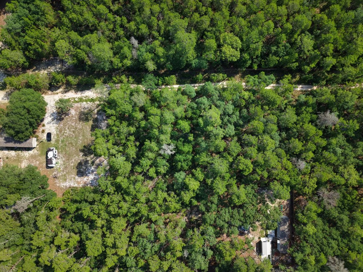 Decorative background for 0.21 Acre Treed Lot Just Off the Pavement, yes with Road Access image 14