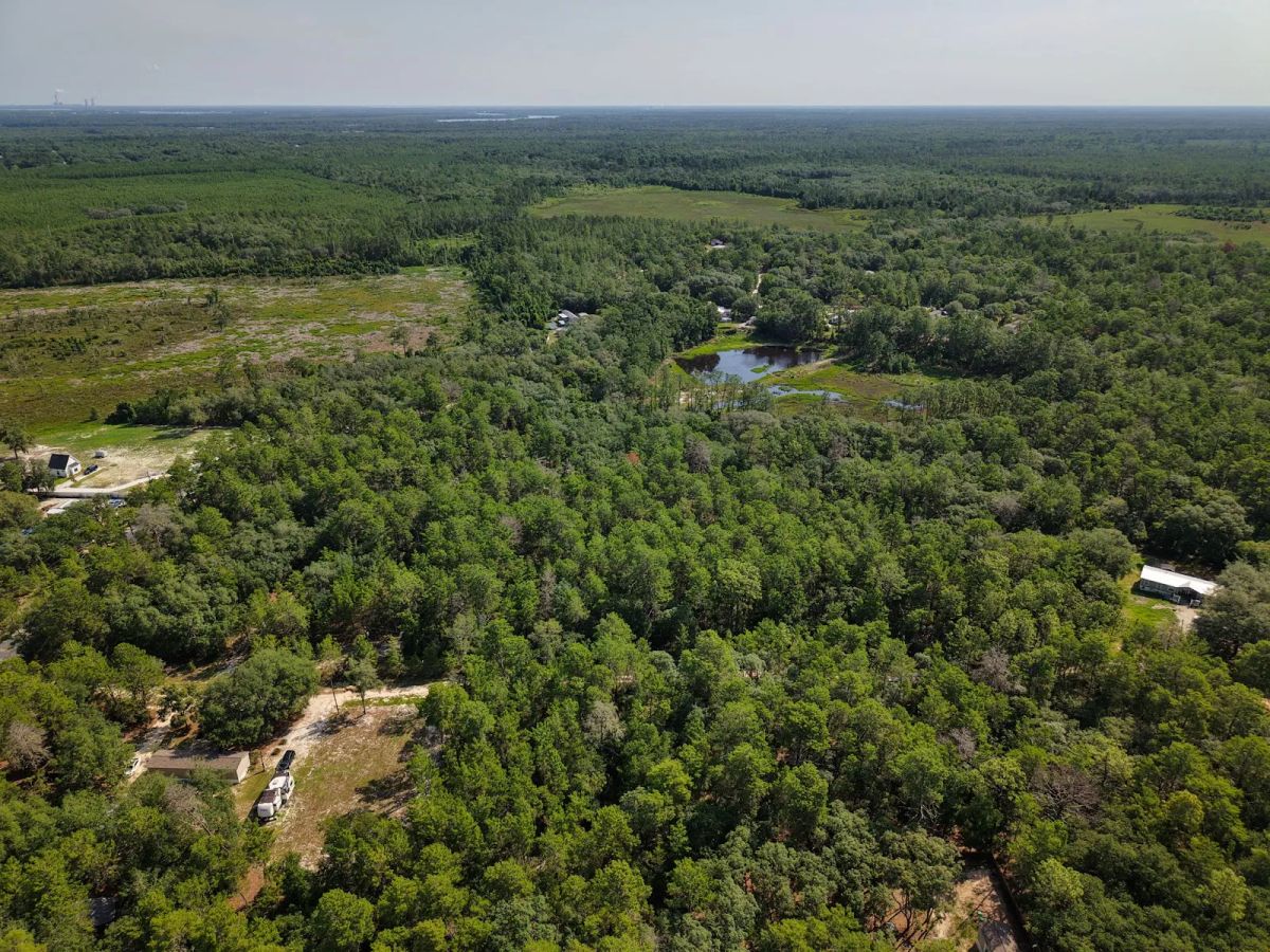 Decorative background for 0.21 Acre Treed Lot Just Off the Pavement, yes with Road Access image 15