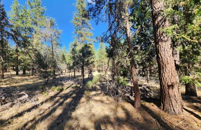 Just $299/Month for 2.31 Acres of Land Near Bonanza, OR