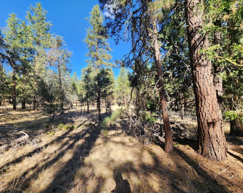 Just $299/Month for 2.31 Acres of Land Near Bonanza, OR in Klamath County, OR