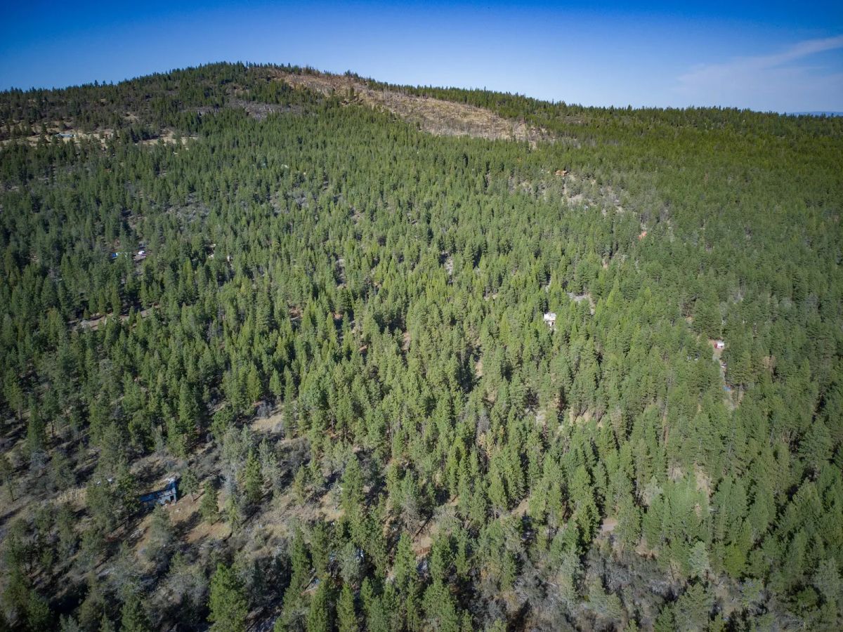 Just $299/Month for 2.31 Acres of Land Near Bonanza, OR - Image 3