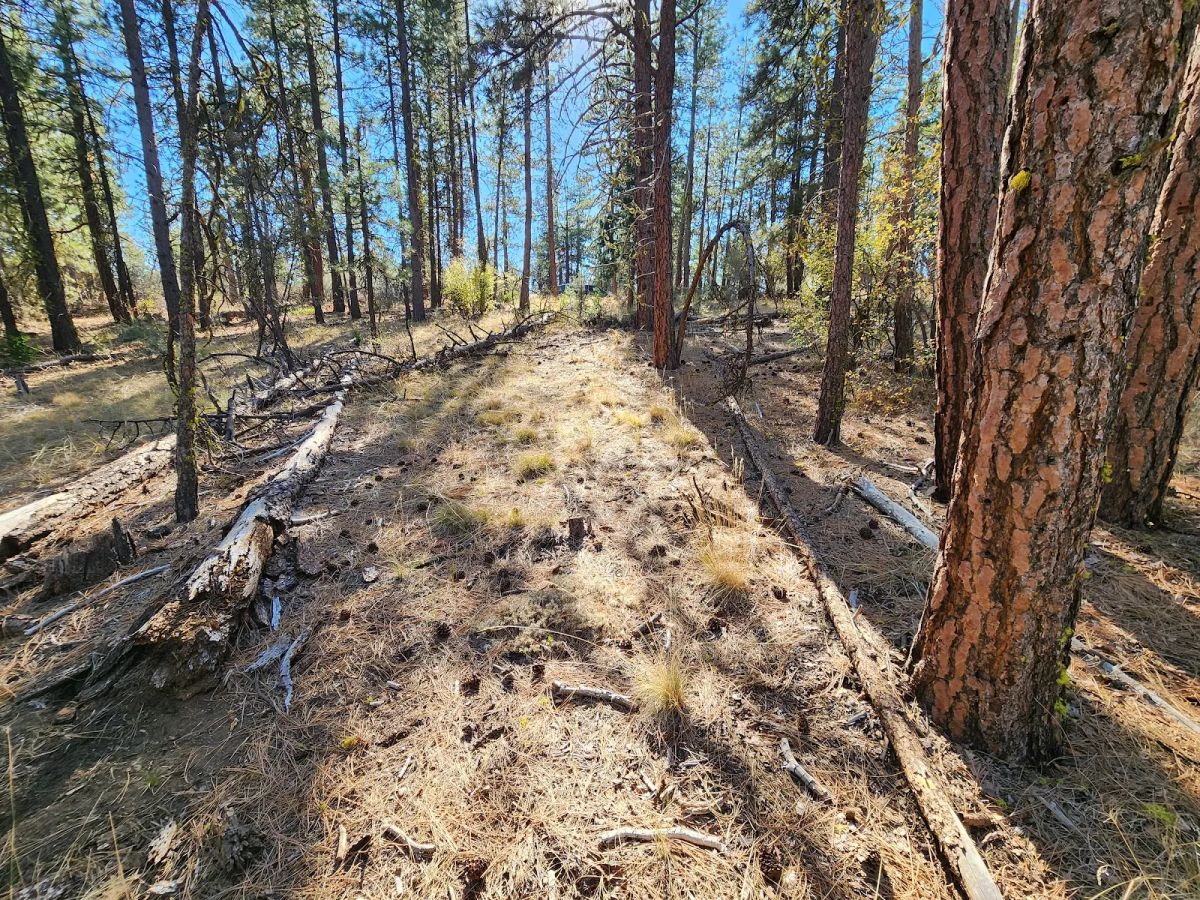 Decorative background for Just $299/Month for 2.31 Acres of Land Near Bonanza, OR image 6