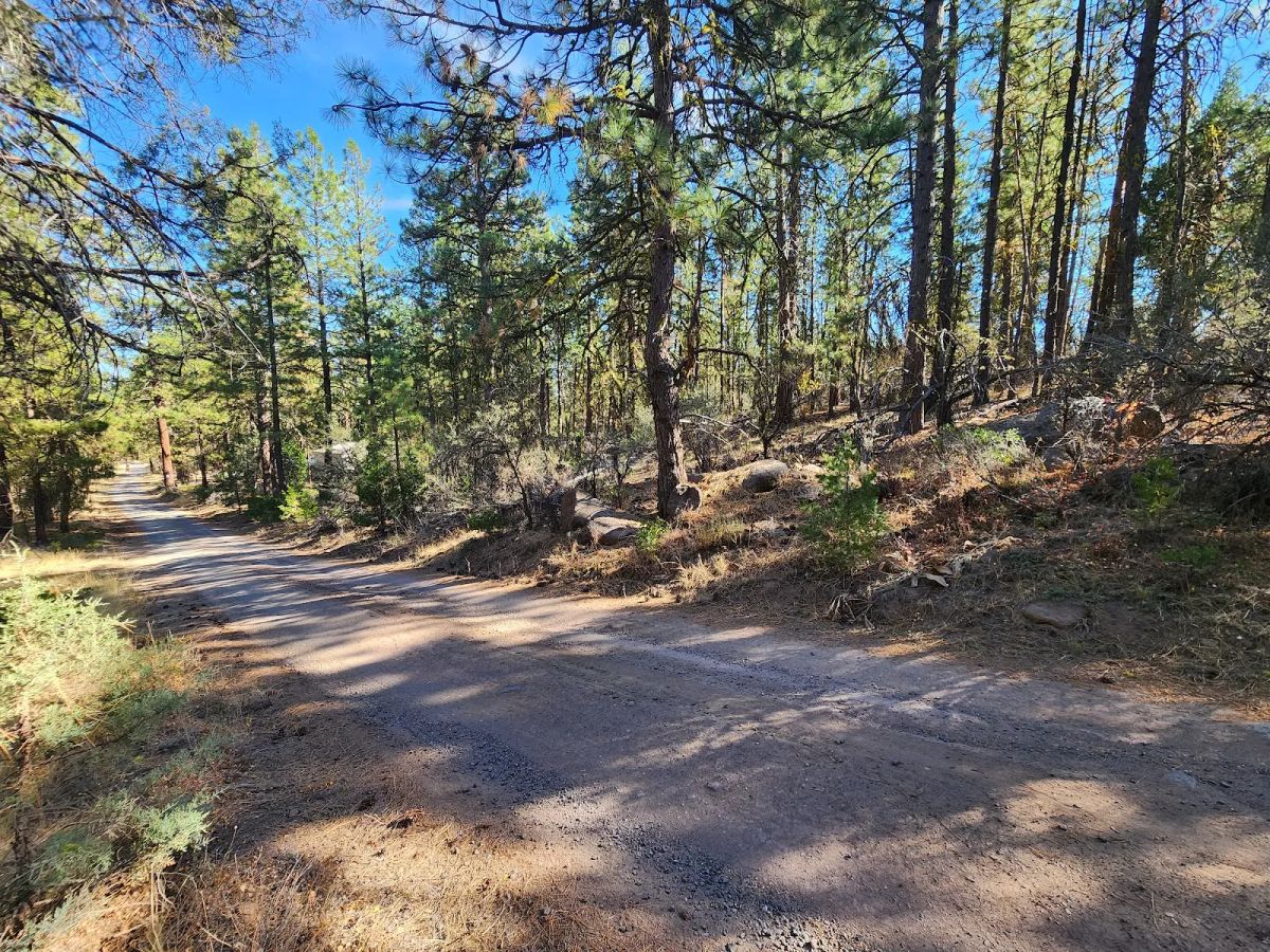 Decorative background for Just $299/Month for 2.31 Acres of Land Near Bonanza, OR image 7