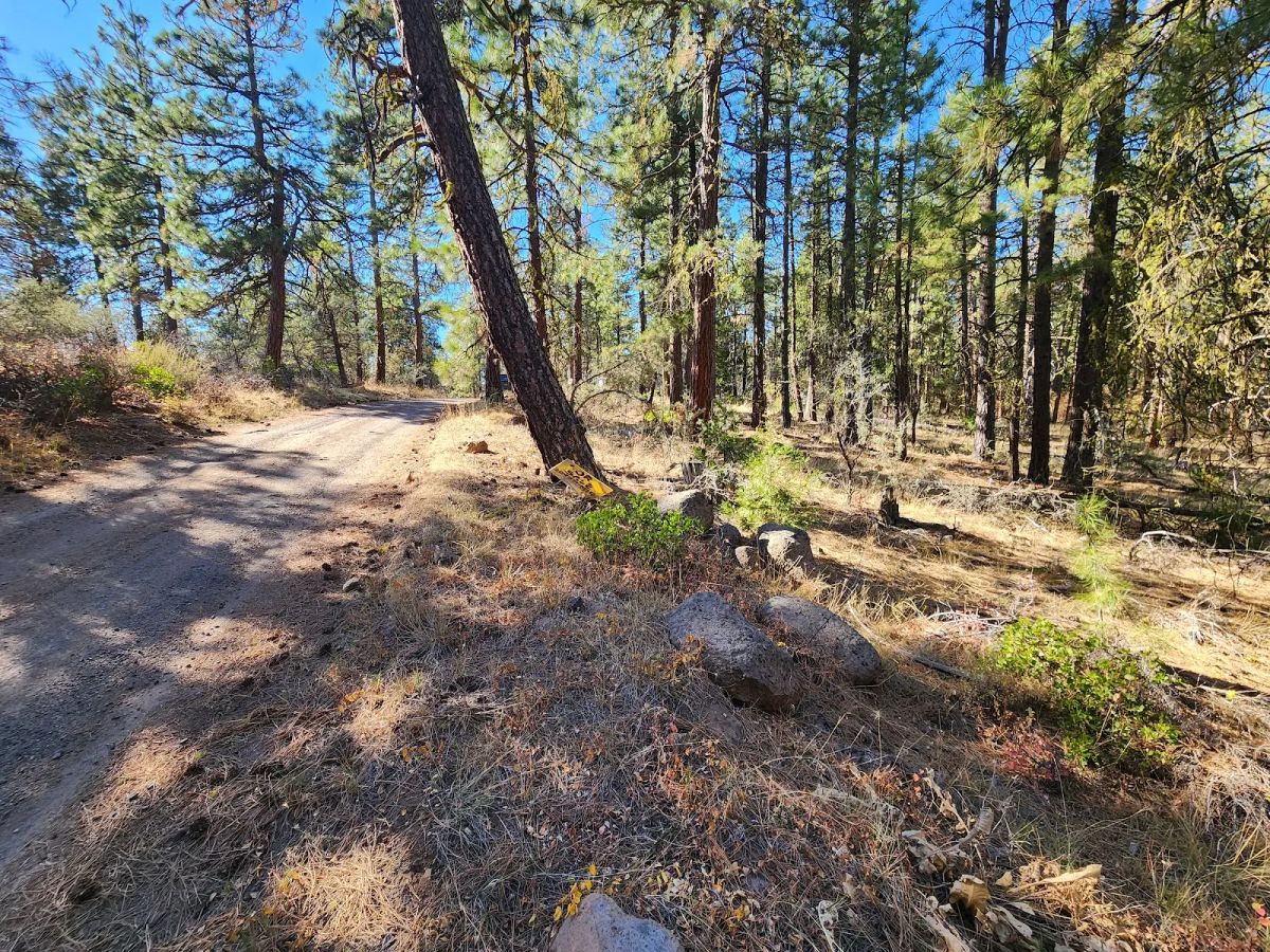 Decorative background for Just $299/Month for 2.31 Acres of Land Near Bonanza, OR image 9