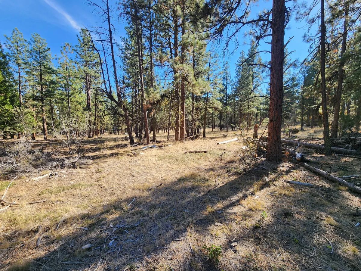 Decorative background for Just $299/Month for 2.31 Acres of Land Near Bonanza, OR image 12