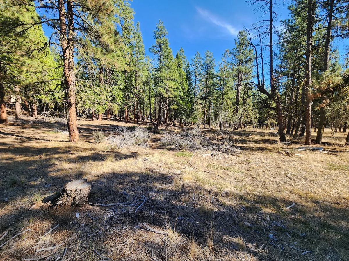 Decorative background for Just $299/Month for 2.31 Acres of Land Near Bonanza, OR image 13