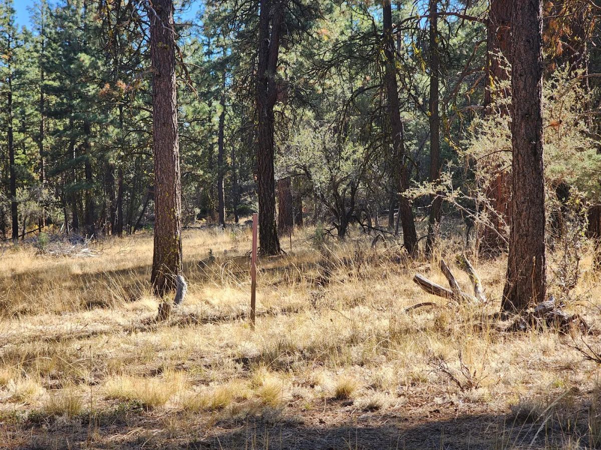 Decorative background for Just $299/Month for 2.31 Acres of Land Near Bonanza, OR image 14
