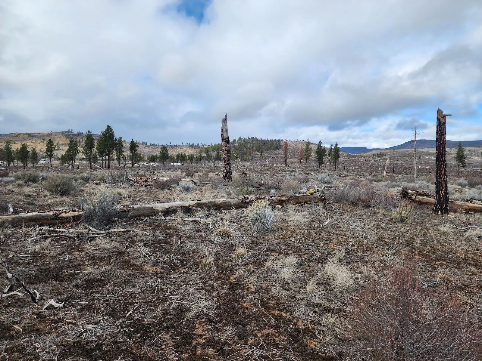 Level Ground, Open Skies — Your Off-Grid Canvas in Klamath Forest Estates in Klamath County, OR