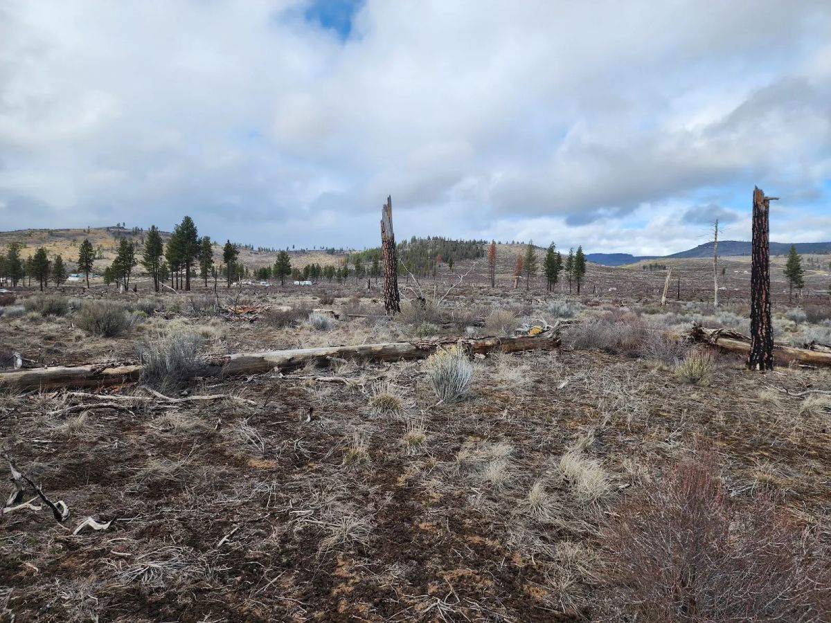 Level Ground, Open Skies — Your Off-Grid Canvas in Klamath Forest Estates - Image 3