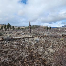 Level Ground, Open Skies — Your Off-Grid Canvas in Klamath Forest Estates in Klamath County, OR