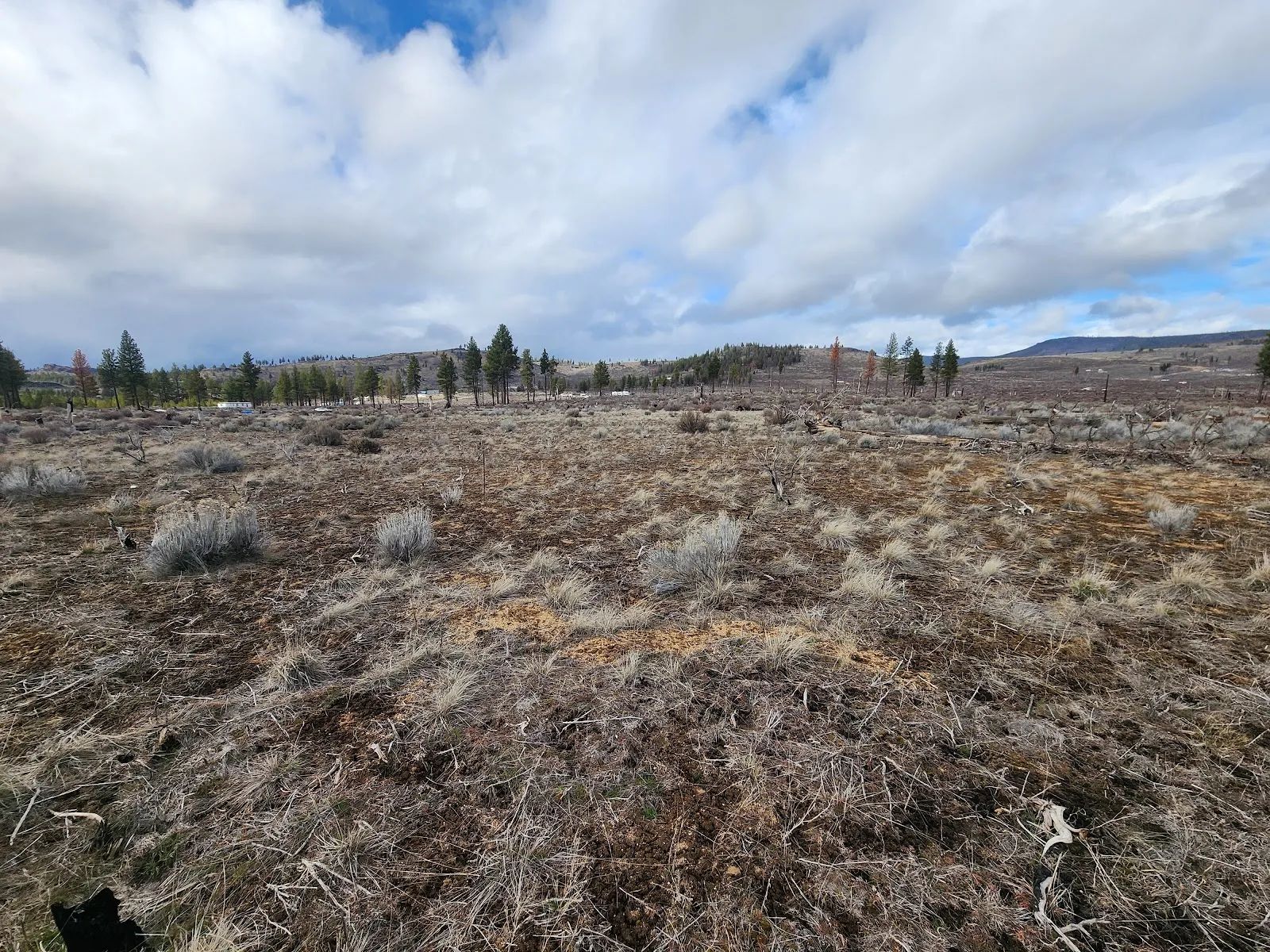 Level Ground, Open Skies — Your Off-Grid Canvas in Klamath Forest Estates in Klamath County, OR