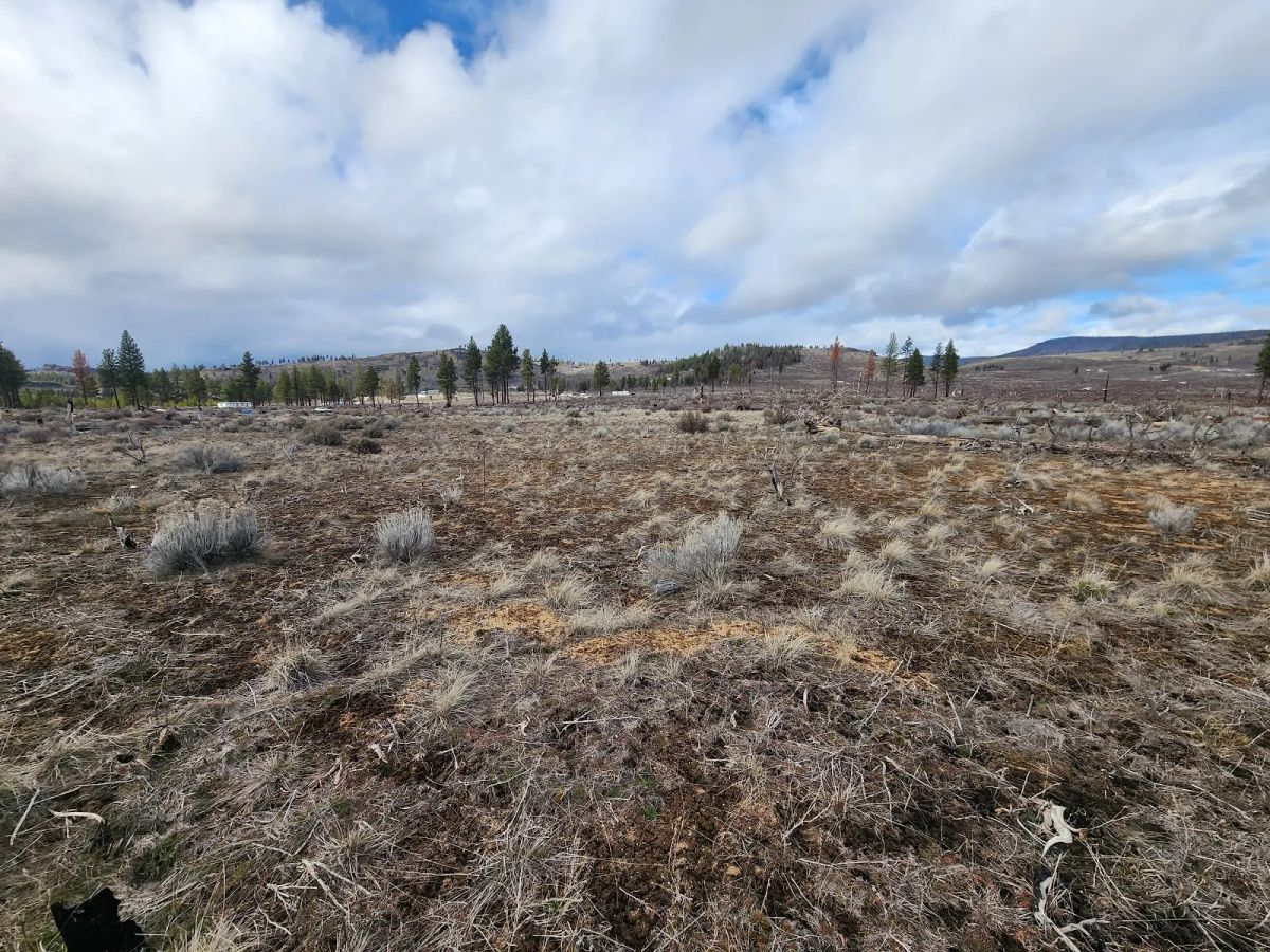 Level Ground, Open Skies — Your Off-Grid Canvas in Klamath Forest Estates - Image 4