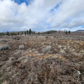 Level Ground, Open Skies — Your Off-Grid Canvas in Klamath Forest Estates in Klamath County, OR