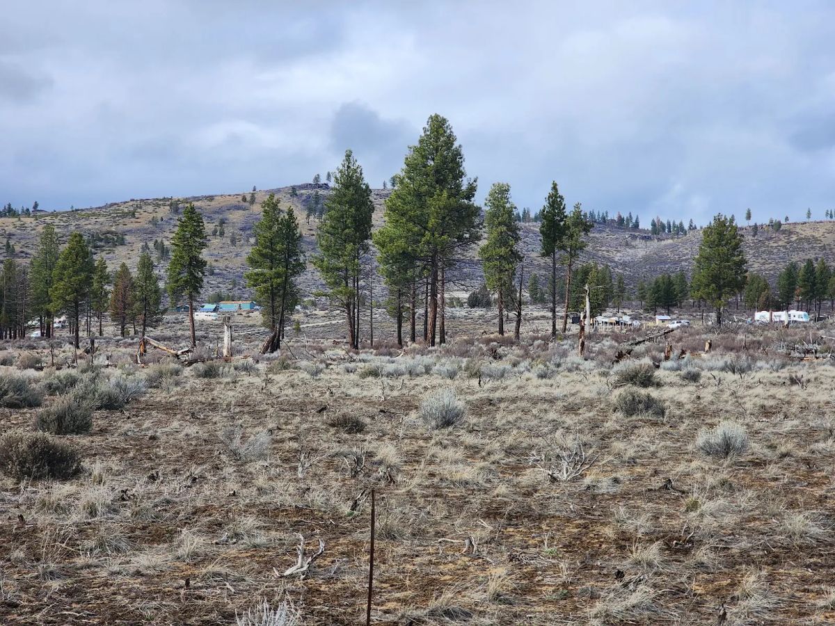 Decorative background for Level Ground, Open Skies — Your Off-Grid Canvas in Klamath Forest Estates image 5