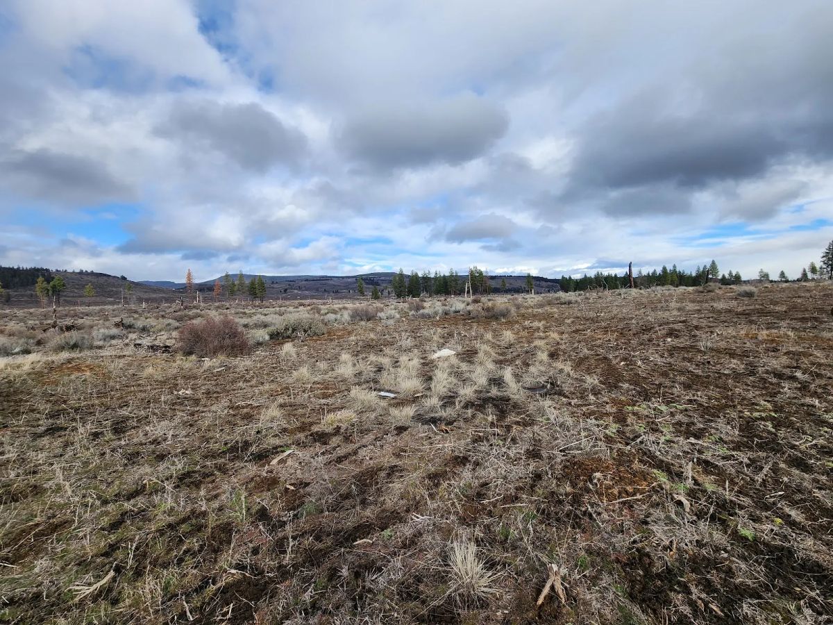 Decorative background for Level Ground, Open Skies — Your Off-Grid Canvas in Klamath Forest Estates image 7